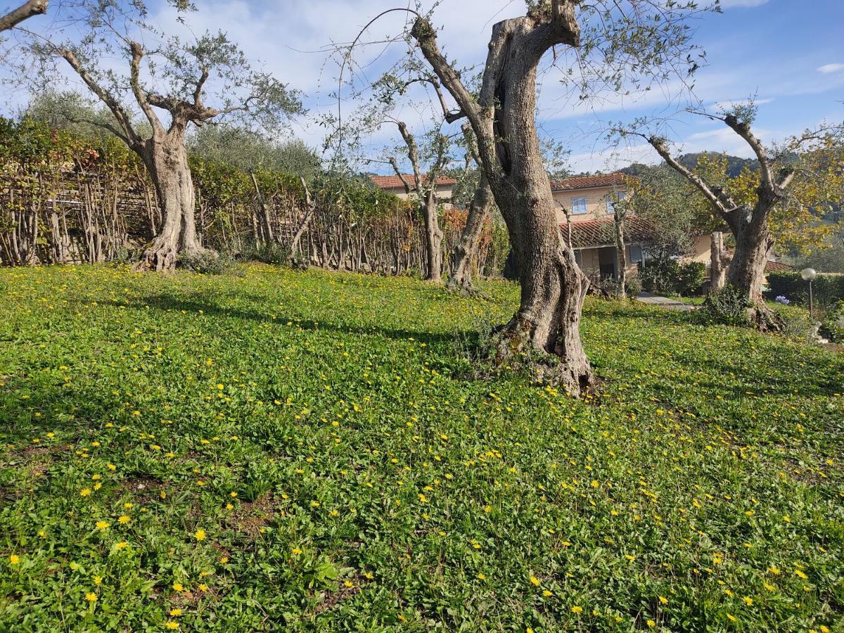 Vila La Tana Del Geco Massarosa Exteriér fotografie