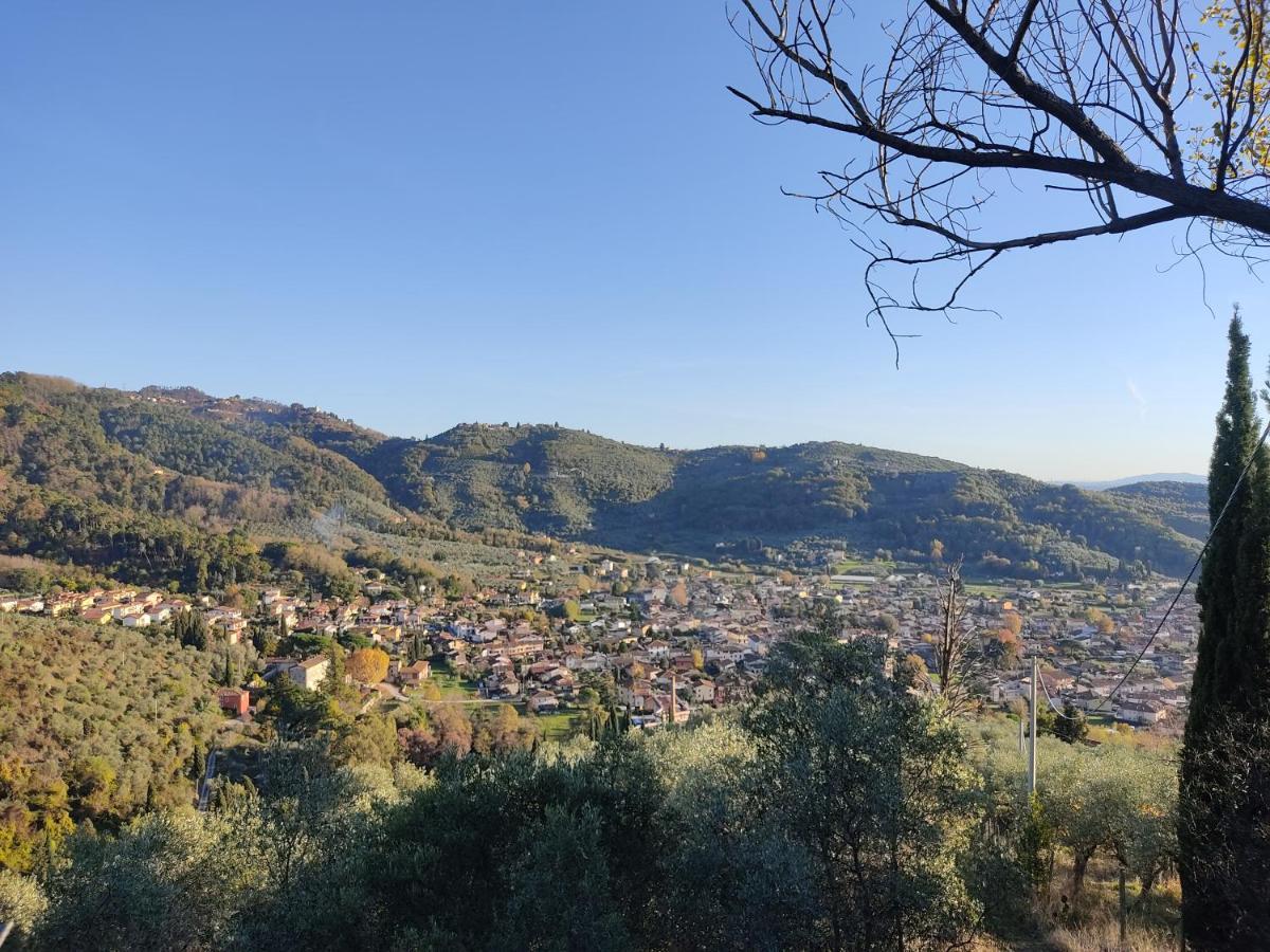 Vila La Tana Del Geco Massarosa Exteriér fotografie