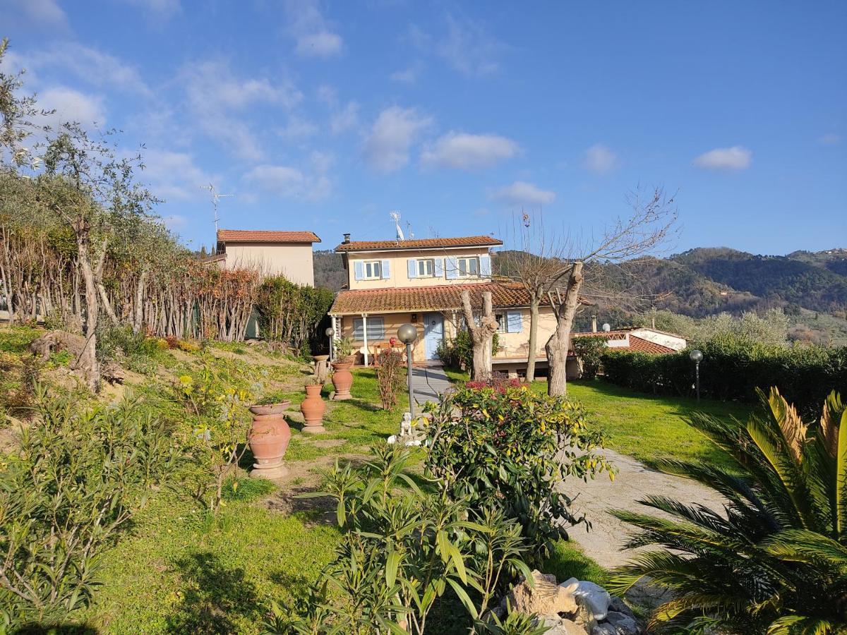 Vila La Tana Del Geco Massarosa Exteriér fotografie